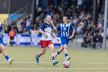 Bild 219 - wBJ Hamburger SV - FC Suederelbe : Ergebnis: 9:0
